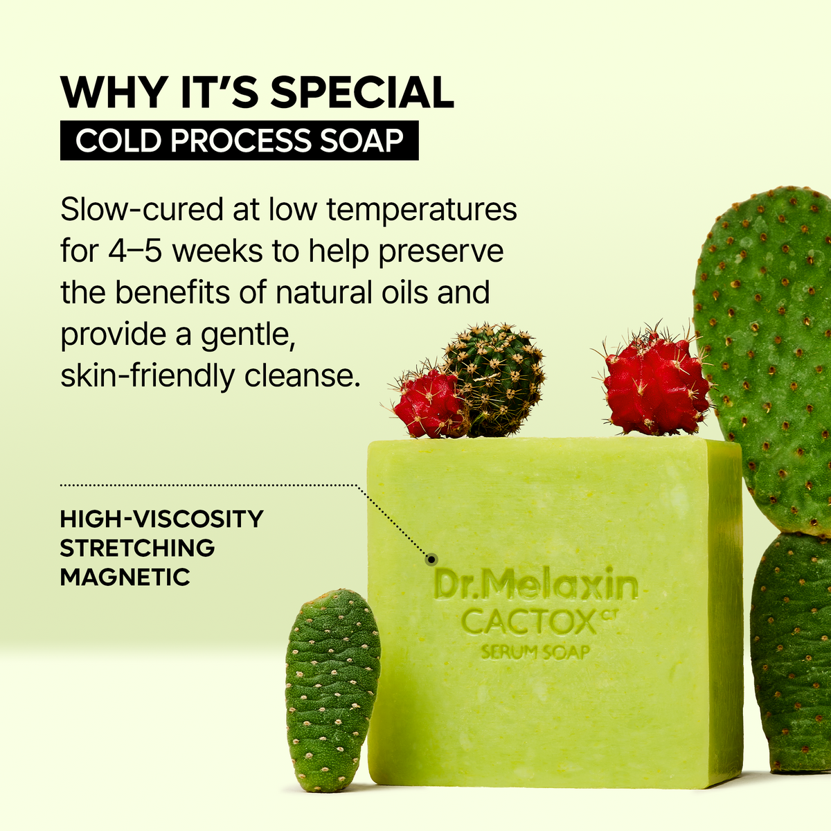 [CLEARANCE SALE] CACTOX Pore Relief Serum Soap