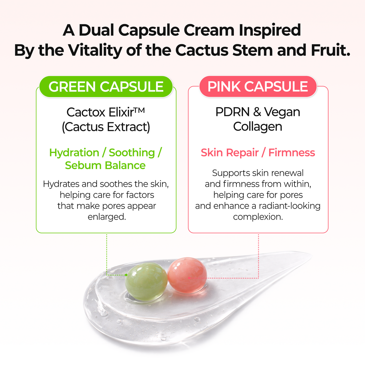 [CLEARANCE SALE] 3-Step CACTOX Pore Tightening Set