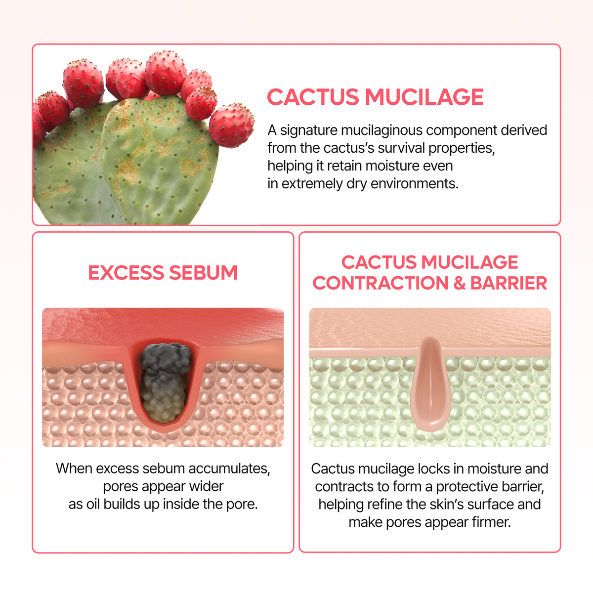 [CLEARANCE SALE] CACTOX Pore Dual Capsule Cream