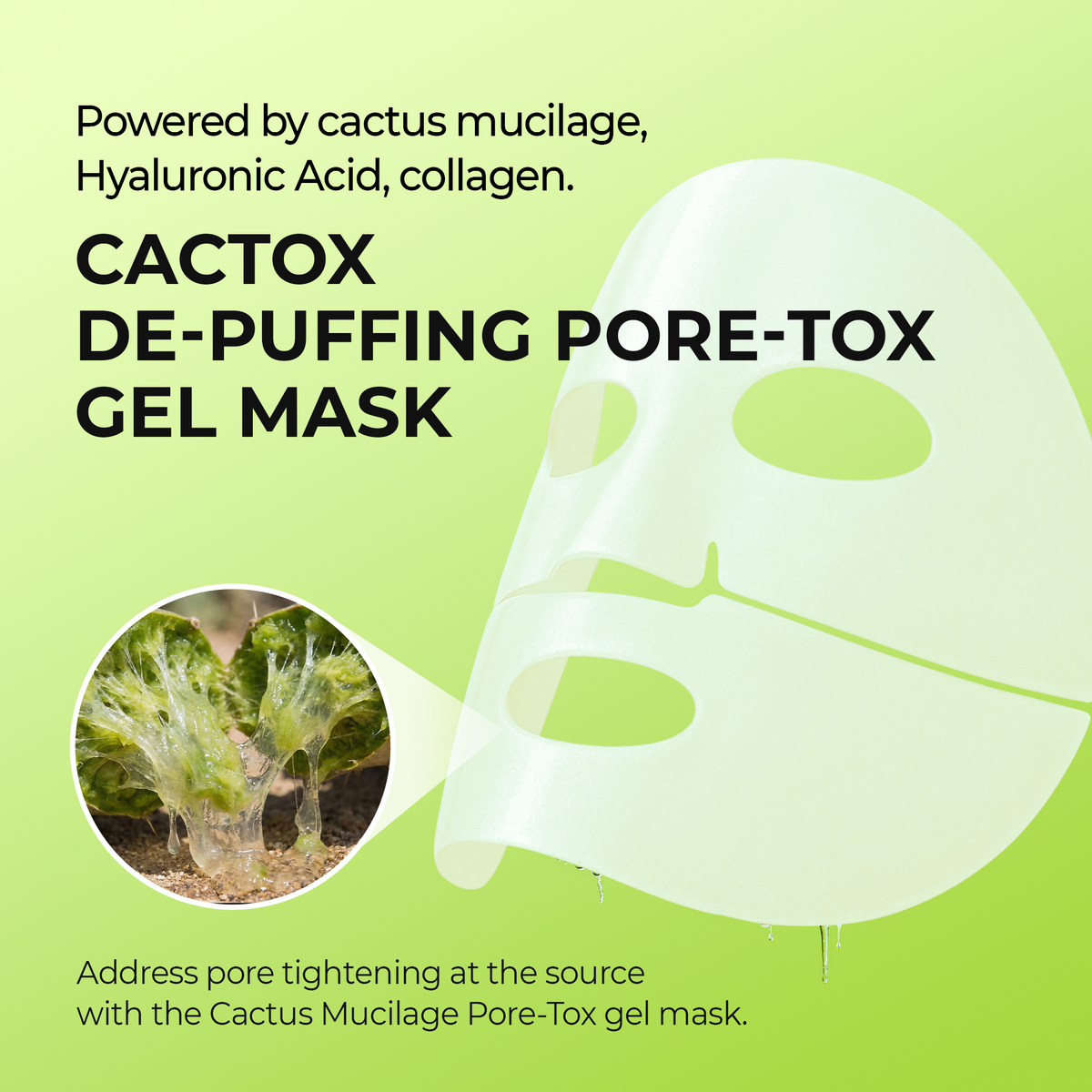 [CLEARANCE SALE] CACTOX De-Puffing Pore Tox Gel Mask 4EA